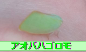 Thumbnail of post image 099